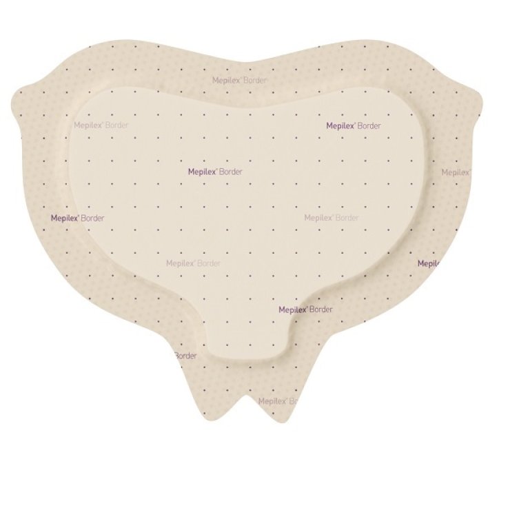MEPILEX BORDER SACRUM16X20 10P