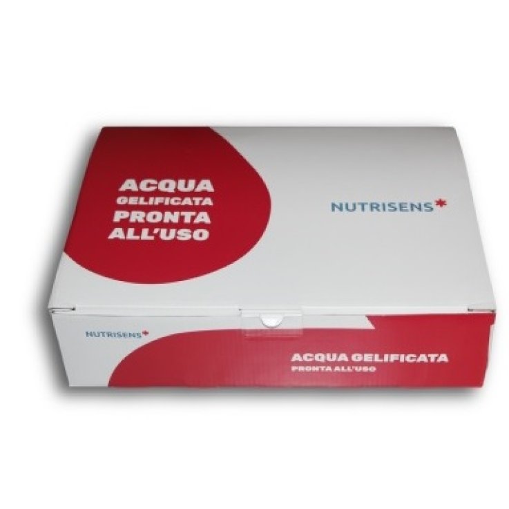 Acqua Gel Pack Edulc Pesca12pz