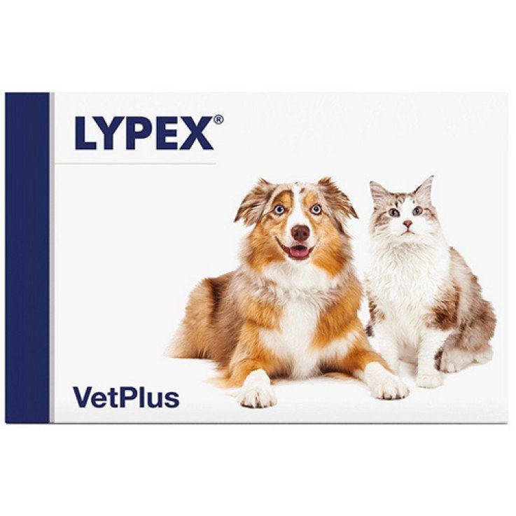 Lypex 60cps