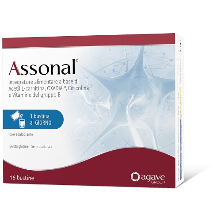 Assonal 16bust