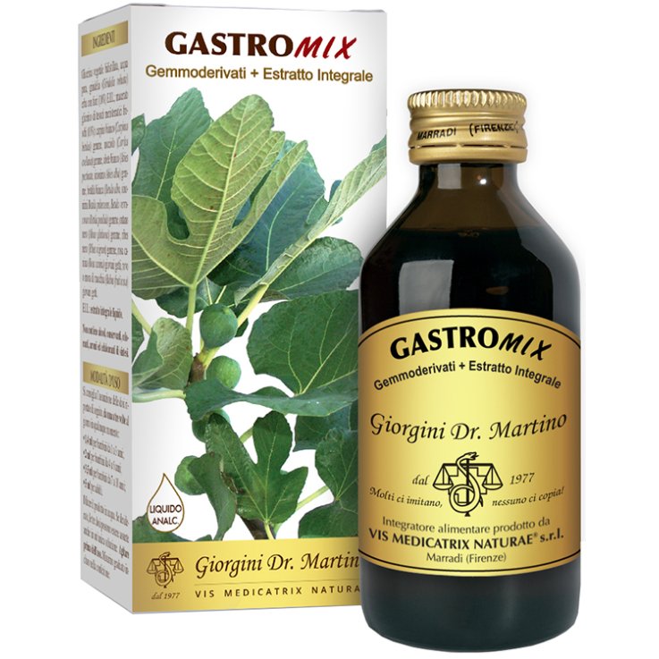 Gastromix Liquido Analc 200ml Gastromix Liquido Analc 200ml