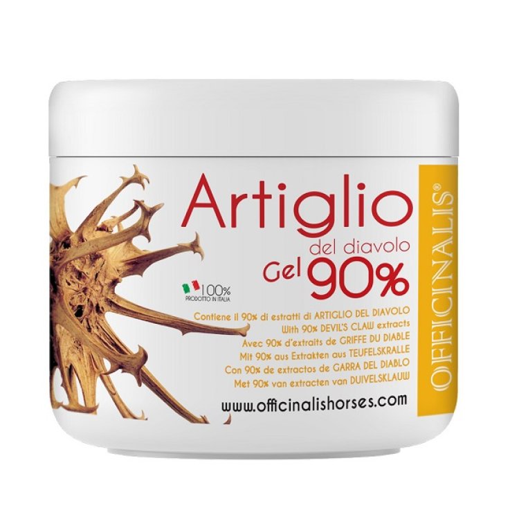 Artiglio Diavolo Gel 90% 500ml