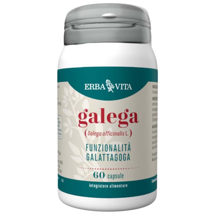 Galega 60cps