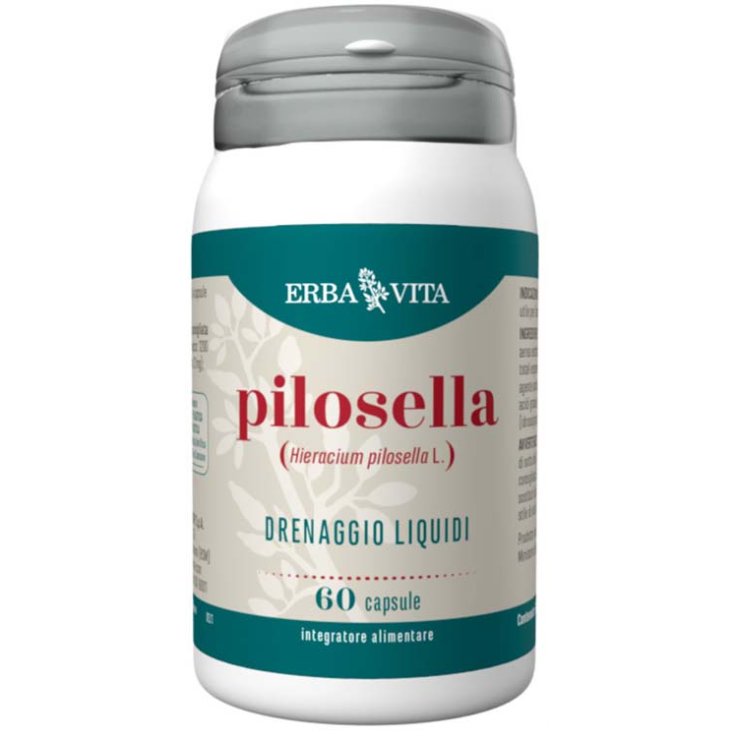 Pilosella 60cps
