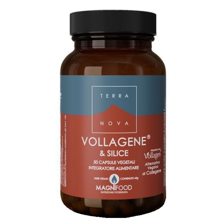 TERRANOVA VOLLAGENE&SILIC50CPS