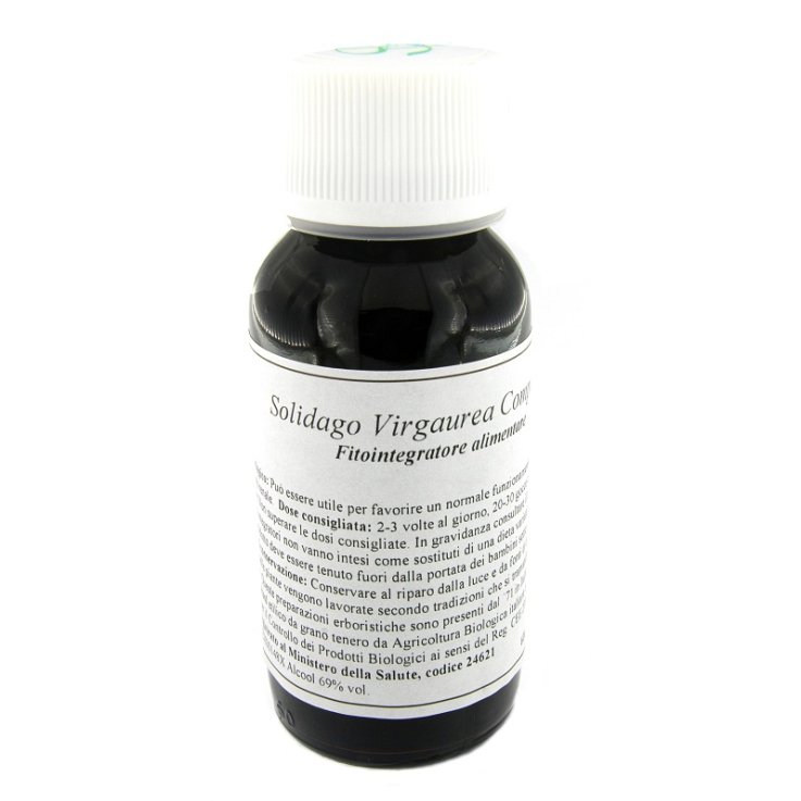 Lvs 07n Solidago Virgaure Comp