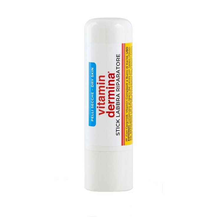 VITAMINDERMINA STICK LAB 4,5ML