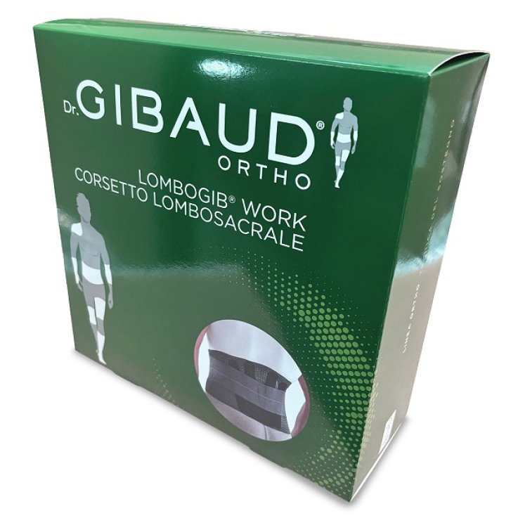 GIBAUD LOMBOGIB WORK H21 TG02
