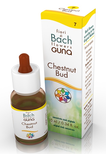 CHESTNUT BUD GOCCE 10 ML - Farmadillo