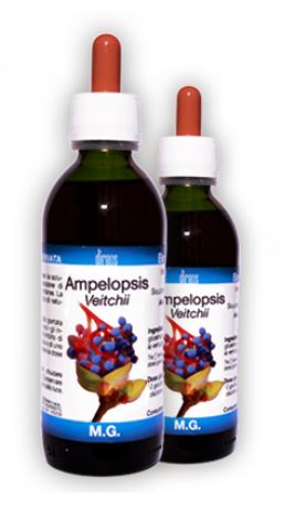 AMPELOPSIS VEITCHII MACERATO GLICERICO 50 ML - Farmadillo