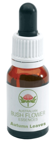 AUTUMN LEAVES GOCCE 15 ML - Farmadillo