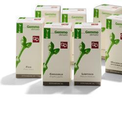 FICO MACERATO GLICERICO 100 ML - Farmadillo