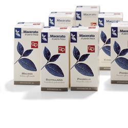 ERNIARIA TINTURA MADRE 50 ML - Farmadillo