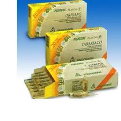 FISIOSOL PL MIRTILLO 20F - Farmadillo