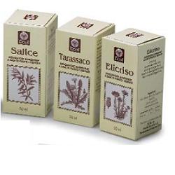 OLIO GERME GRANO 100 ML 501 - Farmadillo