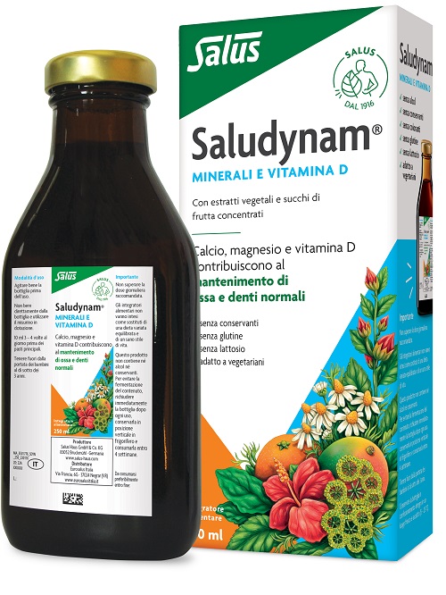 SALUDYNAM 250 ML - Farmadillo