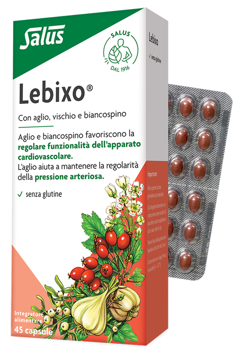 LEBIXO 45 CAPSULE - Farmadillo