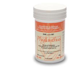 PHYLLANTHUS DAB 007 60 TAVOLETTE - Farmadillo