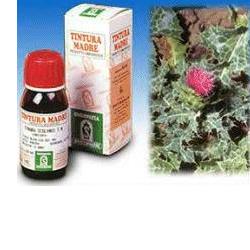 CARDO MARIANO 6 50ML TM - Farmadillo
