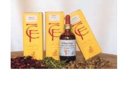 RIBES GEMME MACERATO GLICERICO 100 ML - Farmadillo
