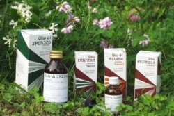 RAEMIL ROSMARINO OLIO 25 ML - Farmadillo