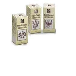 ECHINACEA ESTRATTO ANALCOLICO 50 ML ARTICOLO 813 - Farmadillo