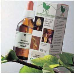 BETULLA MACERATO GLICERICO 100 ML - Farmadillo
