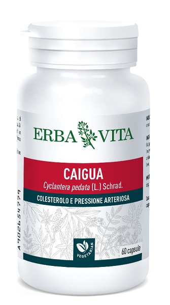 CAIGUA 60 CAPSULE 400 MG - Farmadillo
