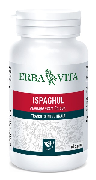 ISPAGHUL 60 CAPSULE 500 MG - Farmadillo