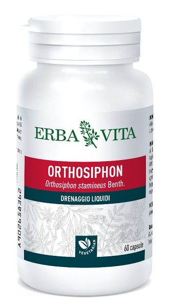 ORTOSIPHON 60 CAPSULE 400 MG - Farmadillo
