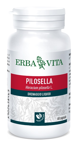 PILOSELLA 60 CAPSULE 400 MG - Farmadillo