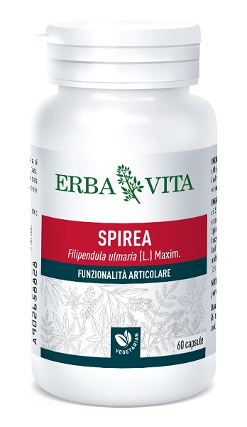 SPIREA ULMARIA 60 CAPSULE 400 MG - Farmadillo