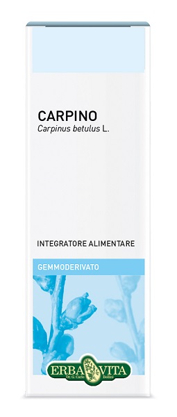 GEMMODERIVATO CARPINO 50 ML - Farmadillo