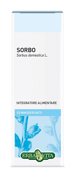 GEMMODERIVATO SORBO 50 ML - Farmadillo