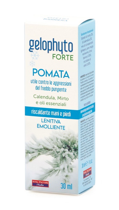 GELOPHYTO FORTE POMATA 30 ML - Farmadillo