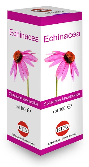 ECHINACEA SOLUZIONE IDROALCOLICA PIANTA FRESCA 100 ML - Farmadillo