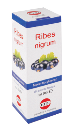RIBES NIGRUM MACERATO GLICERICO 100 ML GOCCE - Farmadillo