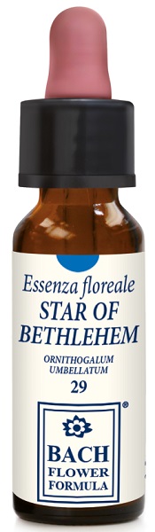 STAR OF BETHLEHEM 10 ML GOCCE - Farmadillo