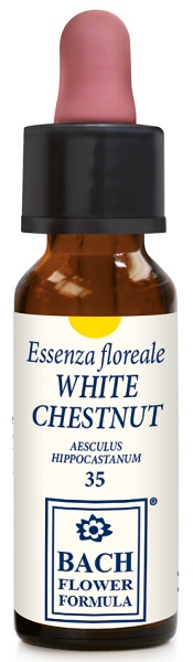 WHITE CHESTNUT ORIGINAL 10 ML - Farmadillo