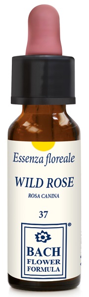 WILD ROSE ORIGINAL GOCCE 10 ML - Farmadillo