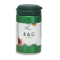 B&G 60 CAPSULE - Farmadillo