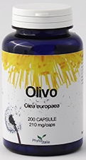 OLIVO 60 CAPSULE - Farmadillo
