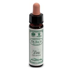 AINSWORTHS PINE 10ML - Farmadillo