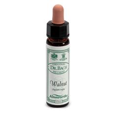 AINSWORTHS WALNUT 10ML - Farmadillo