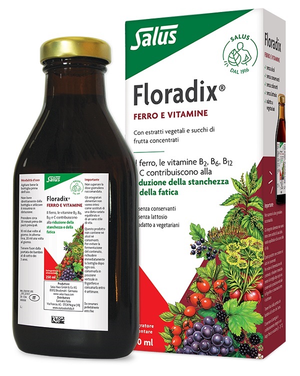 FLORADIX FERRO E VITAMINE 250 ML - Farmadillo