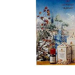 CALENDULA OLIO 100ML - Farmadillo