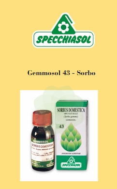 GEMMOSOL 43 SORBO 50ML - Farmadillo