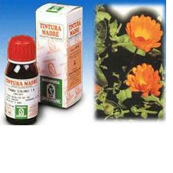 CALENDULA OFF 5 50ML TM - Farmadillo