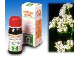 VALERIANA 36 TINTURA MADRE 50 ML - Farmadillo