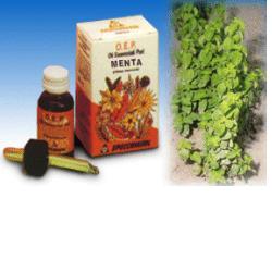 MENTA OLIO ESSENZIALE PURO 10 ML - Farmadillo